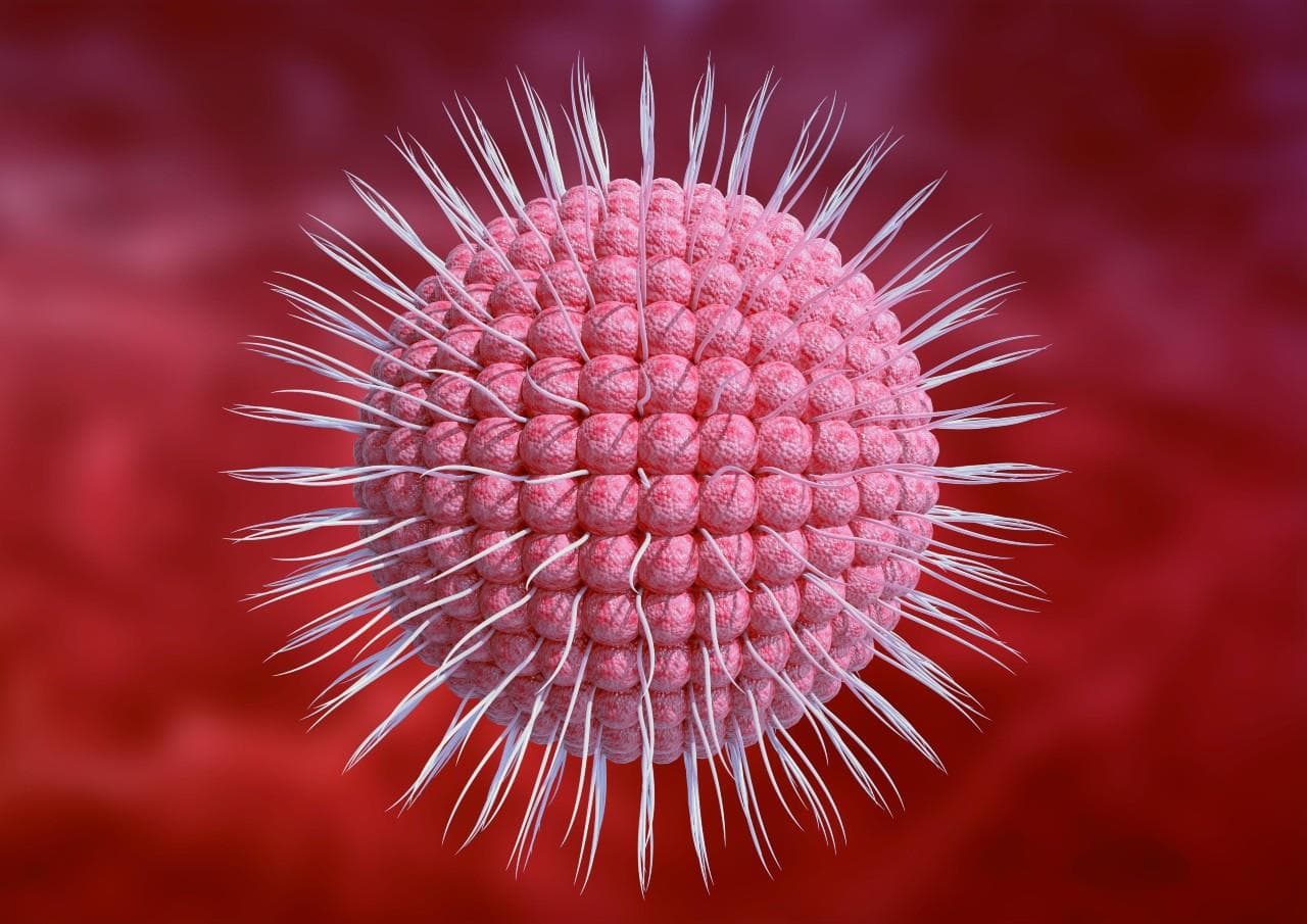 Zona zoster sau Herpes Zoster: afecțiune acută, contagioasă, urmare a reactivării virusului varicelo-zosterian