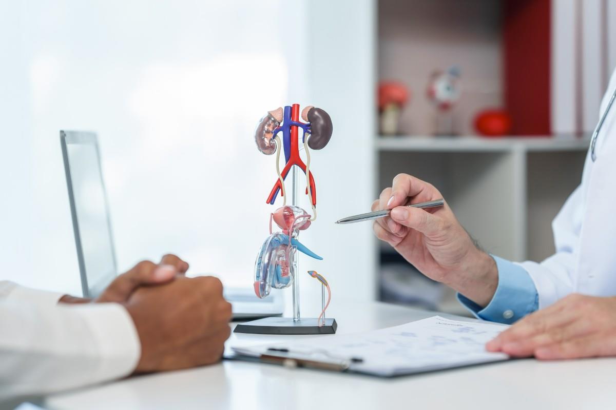 Cistografie: Diagnostic Rapid și Sigur | Memorial