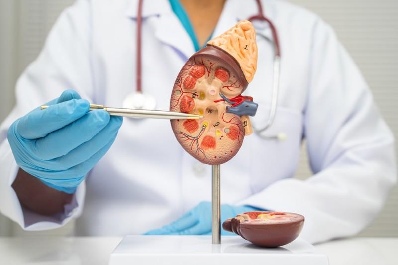 Ce include consultația inițială la un medic urolog de la Memorial România?