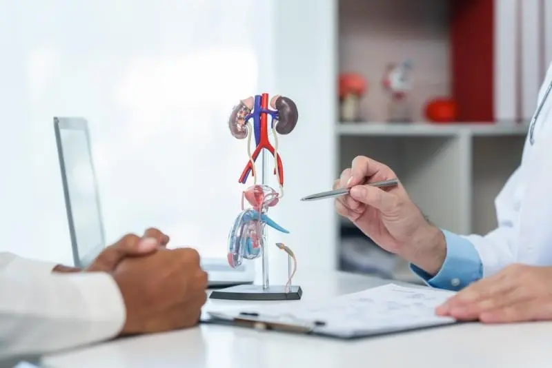 Polakiuria (urinări dese): cauze, simptome, diagnosticare și tratament