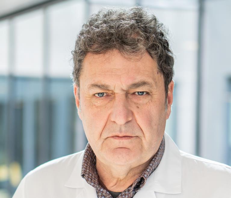 Prof. Dr. Adrian Miron