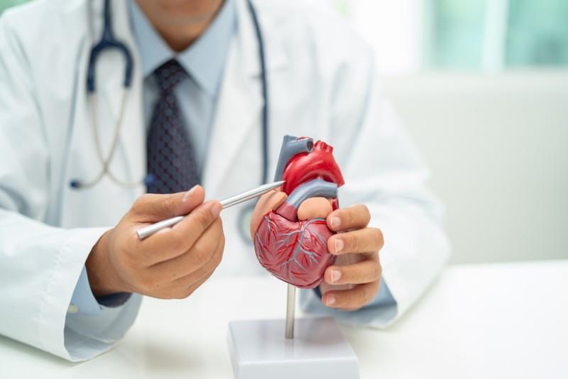 Cardiomiopatie hipertrofică: cauze, simptome, diagnosticare și opțiuni de tratament