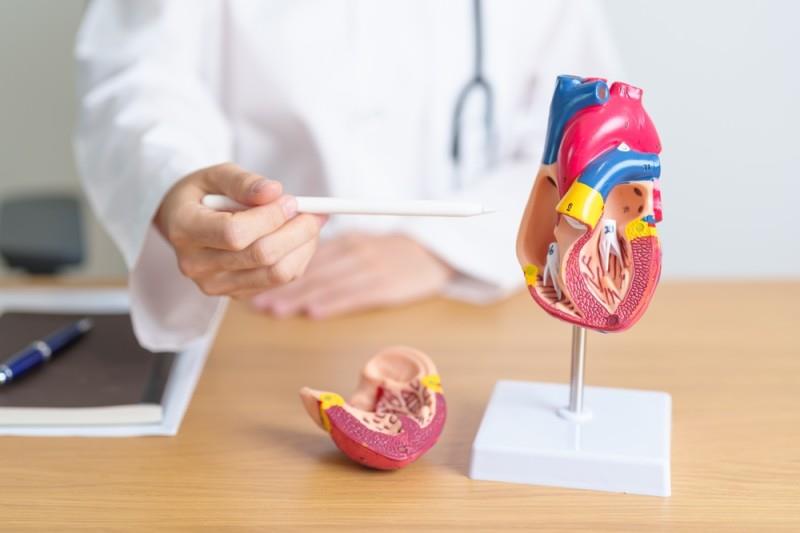 Tamponada cardiacă: cauze, simptome și opțiuni de tratament